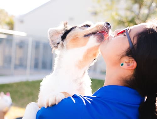 Staff member holding dog sticking its tongue out at The Pet Resort on Main near Port Lavaca, TX