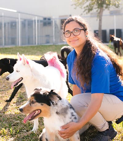 Staff member standing with happy dogs at The Pet Resort on Main near Corpus Christi, TX